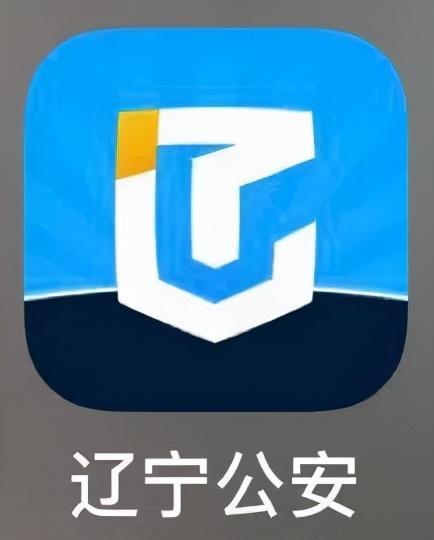 天津公安app下载-(天津公安app下载ios)