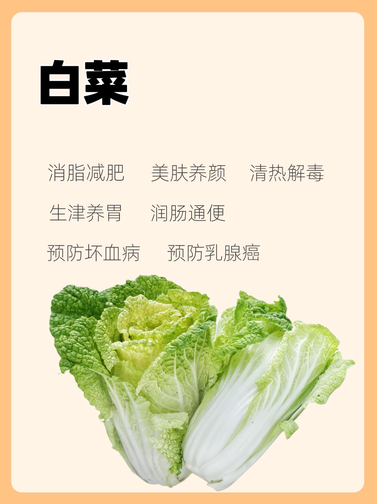 大白菜软件下载_大白菜软件下载官网