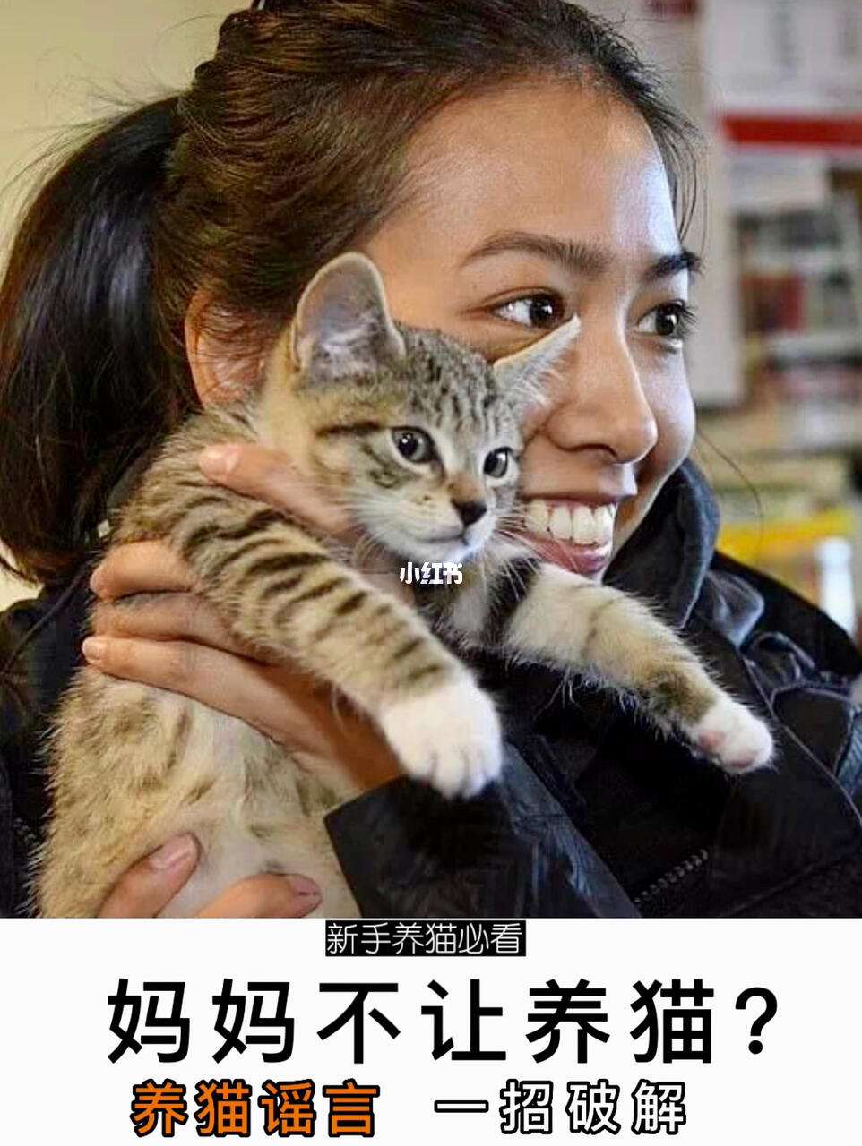 包含疯狂养猫视频下载免费观看的词条