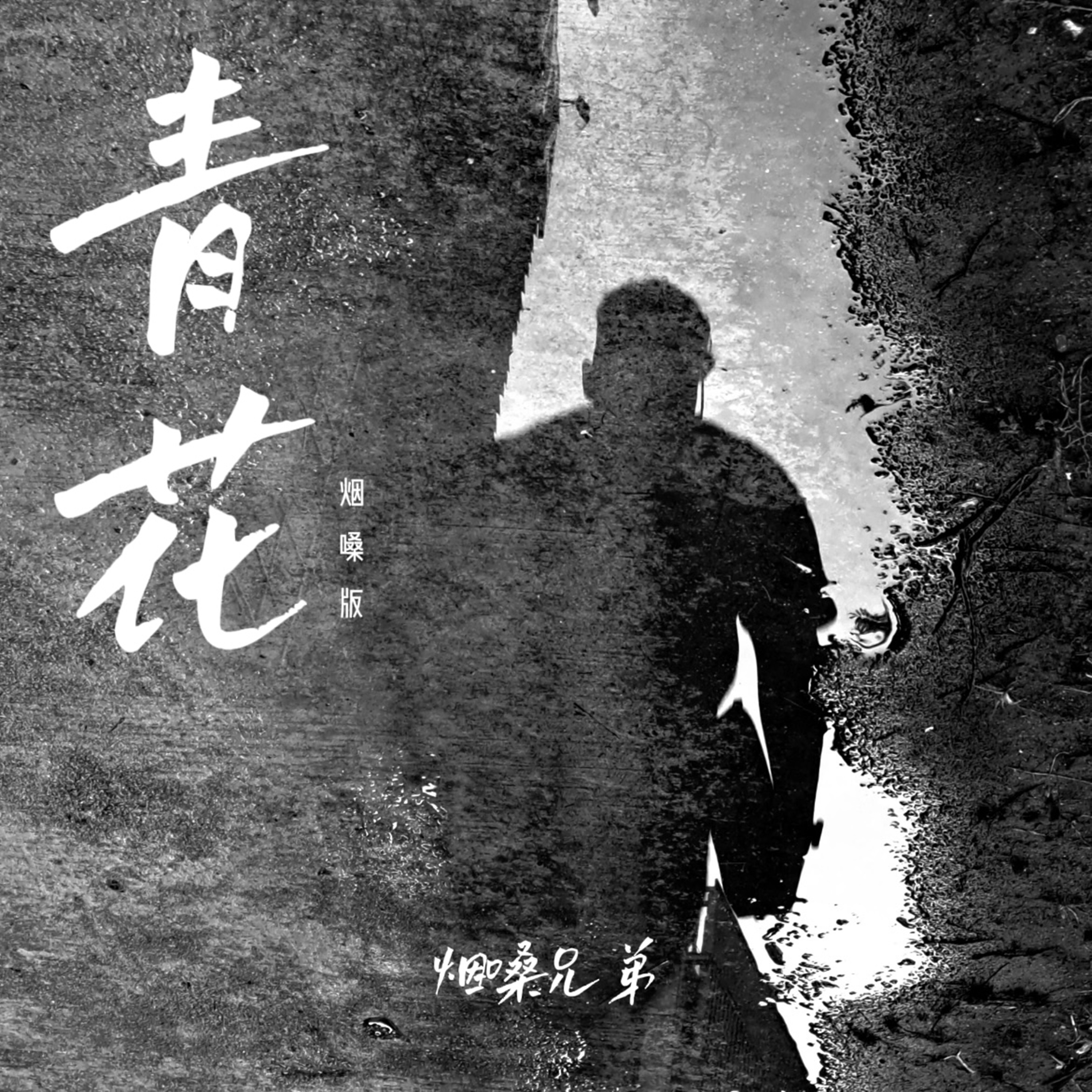 青花下载免费mp3下载-(青花周传雄下载免费mp3下载)