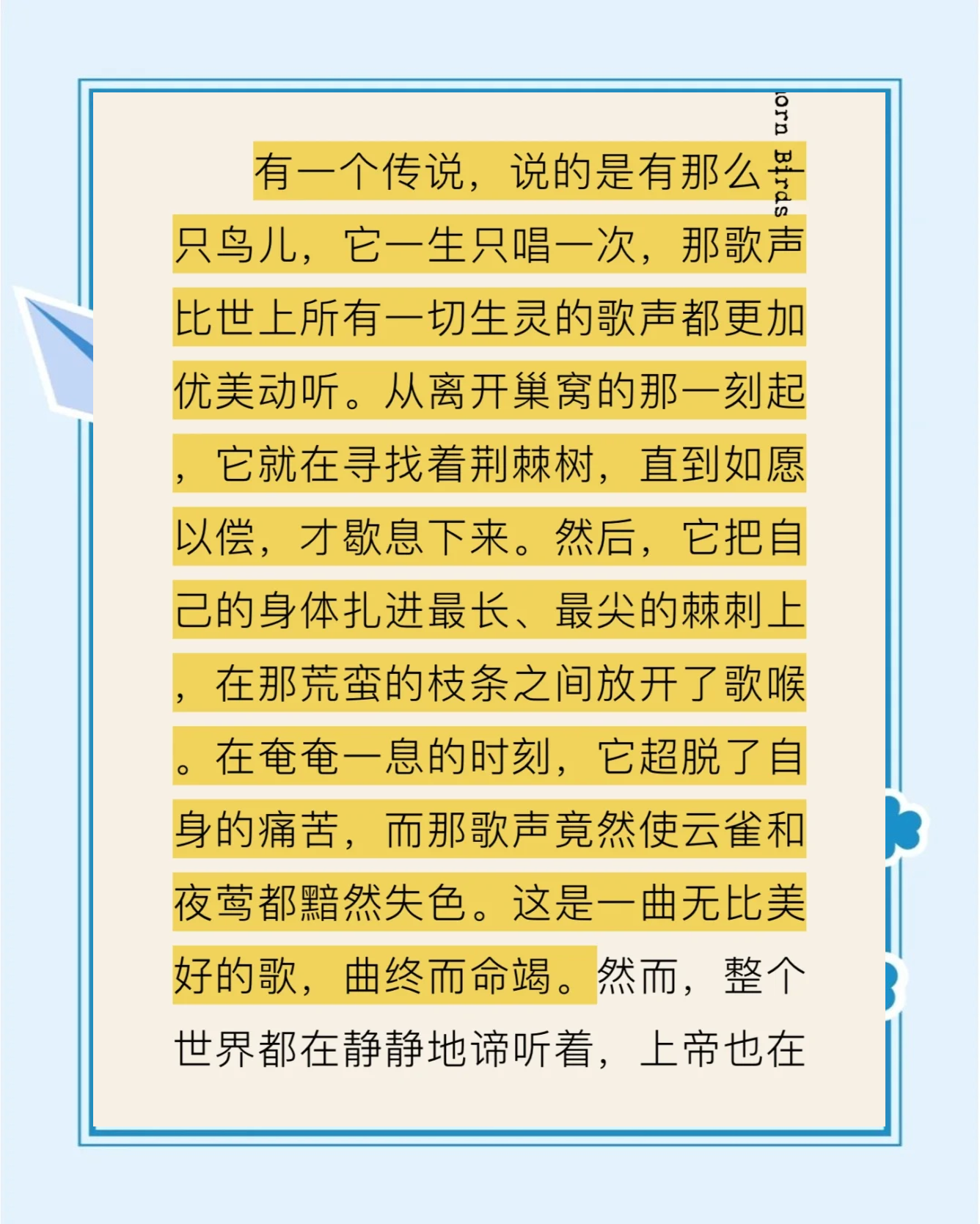 荆棘鸟txt下载-(荆棘鸟小说txt百度网盘)